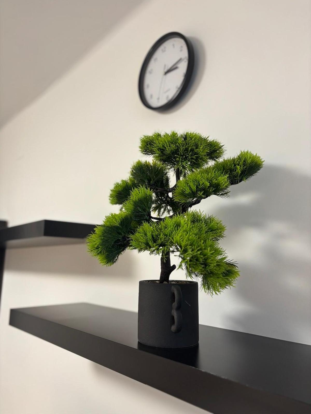 Agora Apartman Hajdúszoboszló Exteriör bild